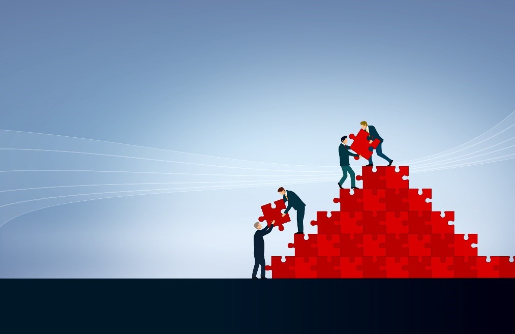 Professionalized team 